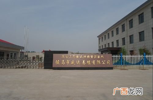 沅江龙弟源生猪养殖基地 湖南醴陵养殖基地