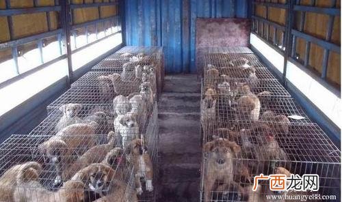 水产养殖公司简介范本 特禽养殖公司简介
