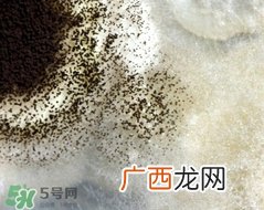 诺如病毒会反复感染吗?诺如病毒会再次感染吗?