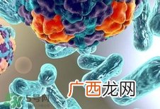 诺如病毒会死吗?诺如病毒可以致人死亡吗?