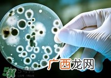 诺如病毒会死吗?诺如病毒可以致人死亡吗?