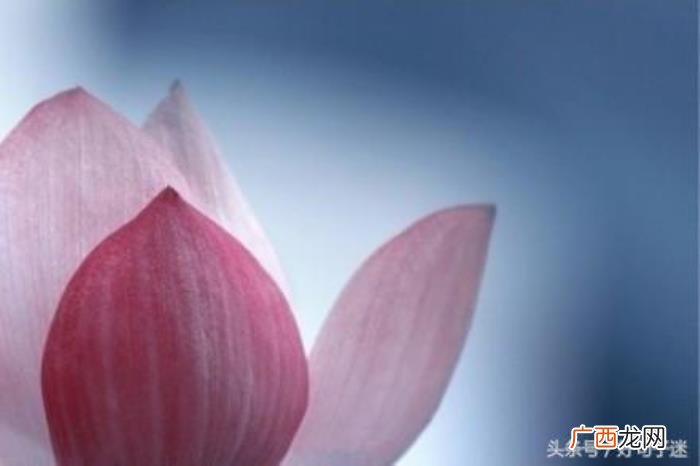 挑句最符合你心情的发朋友圈 朋友圈很火的一段话
