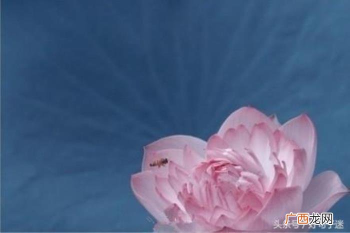 挑句最符合你心情的发朋友圈 朋友圈很火的一段话