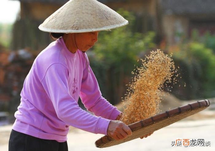 十个簸箕乞丐走啥意思 十个簸箕的女人命运