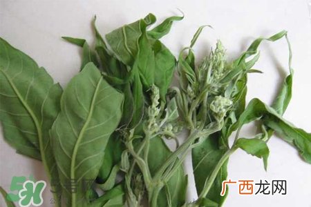艾草可以治脚气吗？艾草泡脚能治脚气吗？