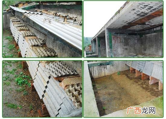 蝎子养殖利润 蝎子养殖投资多少