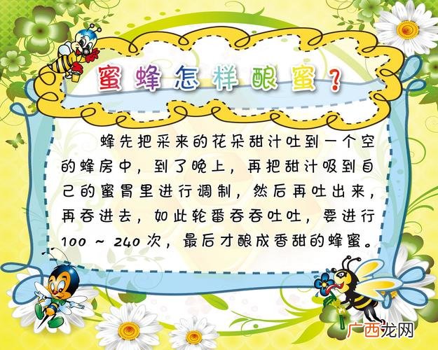 野生蜜蜂养殖技术 德国蜜蜂养殖技术
