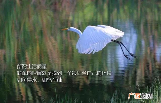 赚钱图片大全励志图片 创业打拼照片