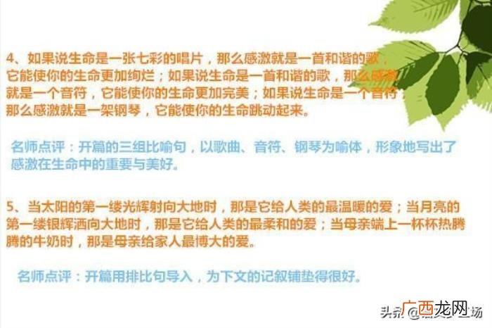 中考满分作文精彩语段35例 初中优美语段摘抄大全