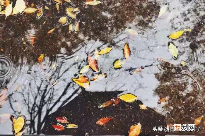 原来喜欢下雨是一种瘾 喜欢下雨天
