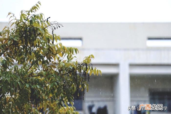 原来喜欢下雨是一种瘾 喜欢下雨天