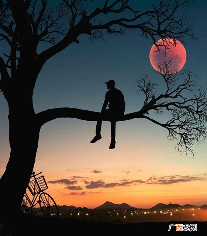 适合深夜发的心情随笔带图 带图
