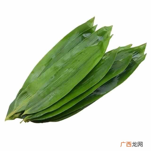 粽子叶是什么叶子（端午节包粽子都是用的什么