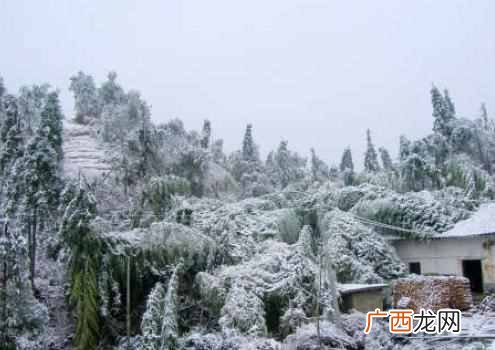 冻雨有哪些特征 冻雨是什么物理现象