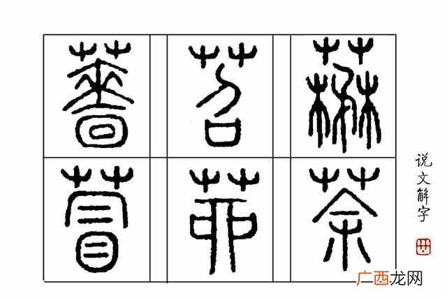 如火如荼什么意思（成语如火如荼中的荼是指什