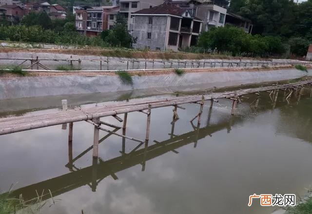现在农村养殖 养殖水产业什么最赚钱农村