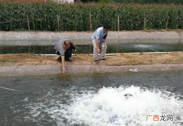 现在农村养殖 养殖水产业什么最赚钱农村