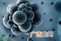 库波热病毒是什么?库波热病毒有什么症状?