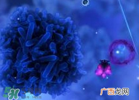 库波热病毒是什么?库波热病毒有什么症状?