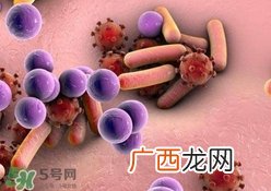 库波热病毒是什么?库波热病毒有什么症状?