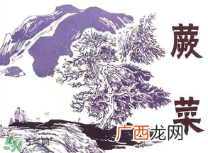 吃蕨菜会过敏吗?皮肤过敏能吃蕨菜吗?