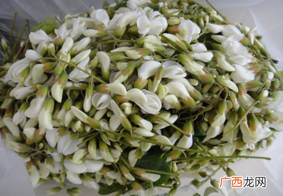 槐花怎么吃好 槐花的常见吃法