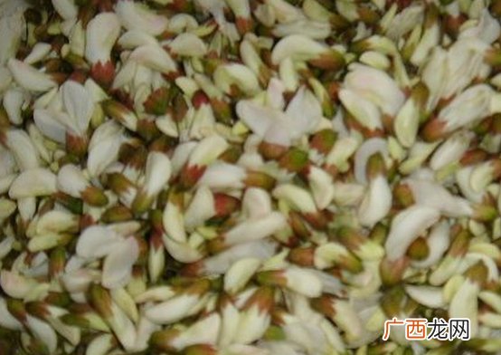 槐花的药用功效 槐花能治什么病