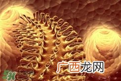 h1n1流感可以治好吗?h1n1流感能治愈吗?