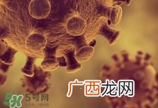 h1n1流感可以治好吗?h1n1流感能治愈吗?