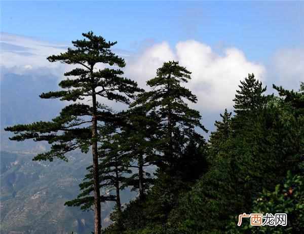 北岳是什么山在哪个省（中国五岳是指哪五座山
