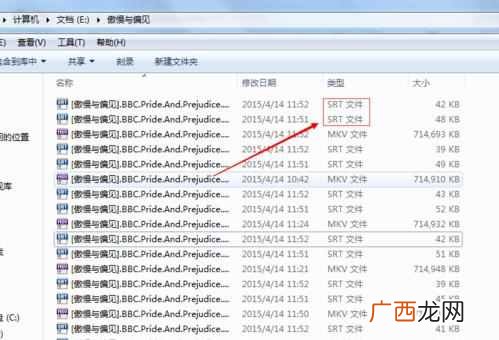 你知道什么叫做srt文件吗 srt是什么文件后缀