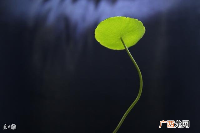 创新创业的途径和措施有哪些,大学生创业的途径有哪些