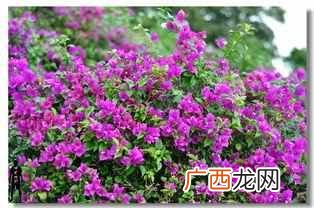 释然是一种怎样的心态 淡然释然是什么意思