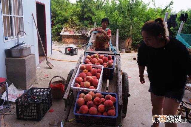 适合农村开店的小生意,开个什么小店投资少还赚钱