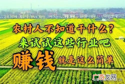 农村致富新项目新点子 适合农村发展的新商机