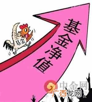 基金净值是什么意思（基金净值是高好还是低好