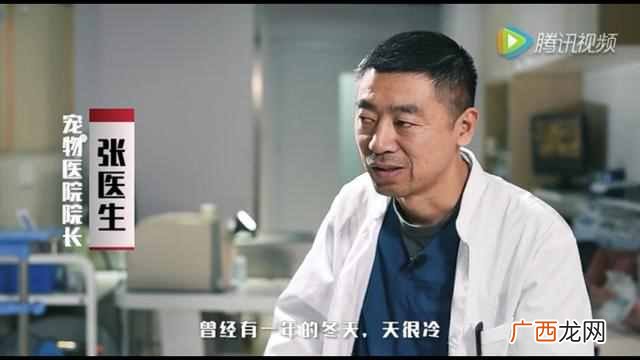 正规宠物医院 宠物医院