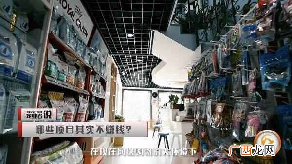 正规宠物医院 宠物医院