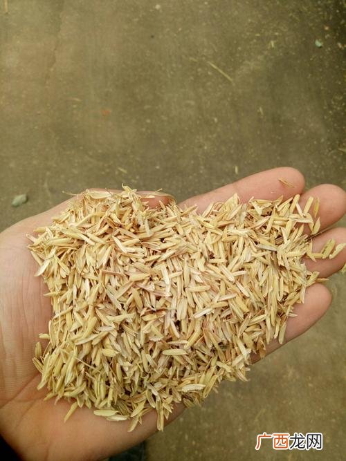 发酵床养牛的缺点 益生菌 发酵床养殖法