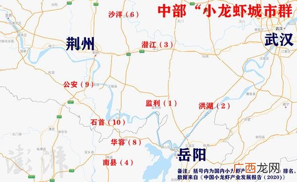 小龙虾养殖场 监利小龙虾养殖