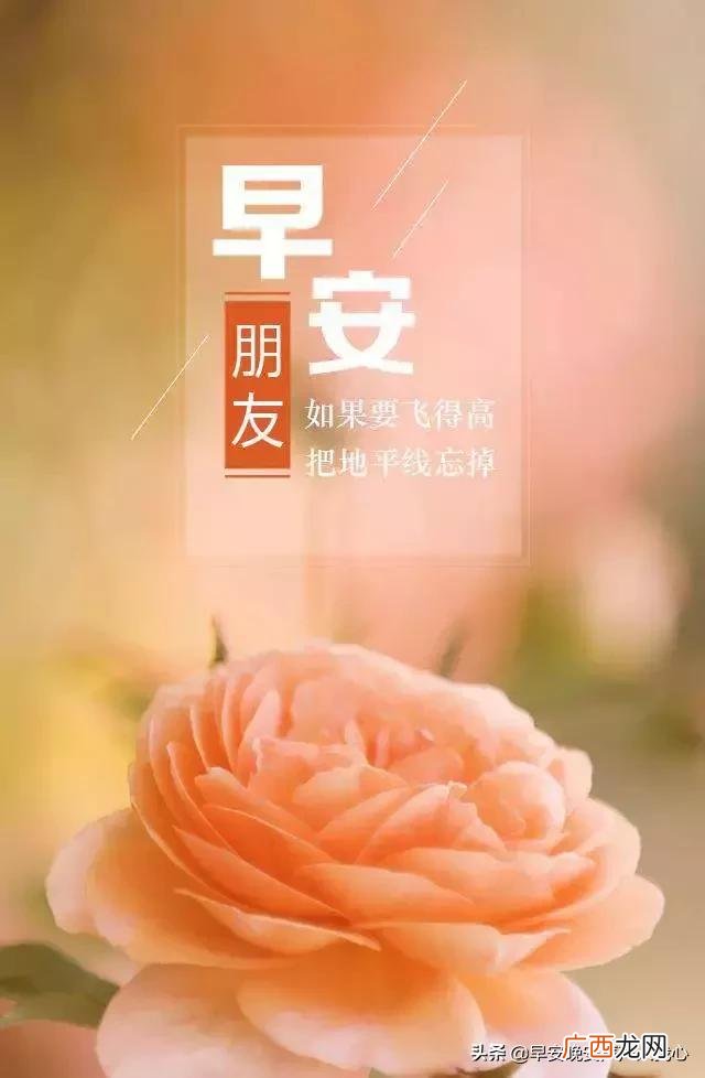微商晚安语录温馨简短 微商早安正能量句子励志经典语录