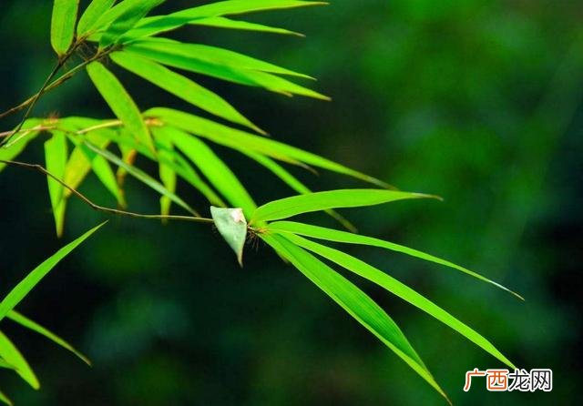 不要和穷人打交道 不要与穷人做生意