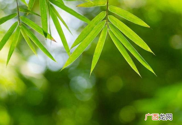 不要和穷人打交道 不要与穷人做生意