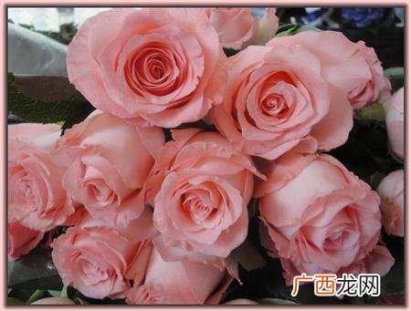 哪里可以学开花店的经验,想开花店去哪里学比较好