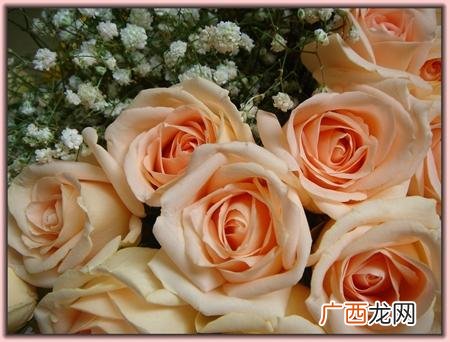 哪里可以学开花店的经验,想开花店去哪里学比较好