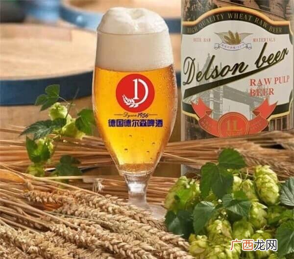 西安精酿啤酒批发,西安精酿啤酒供货商