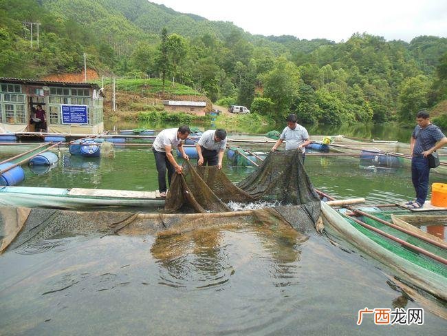 水产养殖专业合作社工作总结 一个水产养殖专业合作社的成功