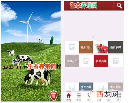 最新特种养殖项目 养殖平台