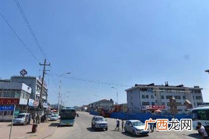 萧县白山羊养殖基地 安徽利辛养殖白山羊