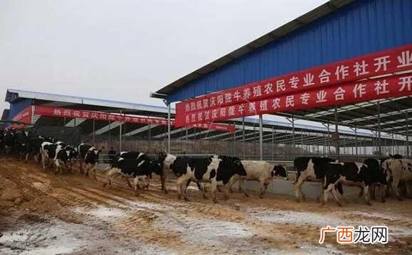 白银走势 甘肃白银养殖驴